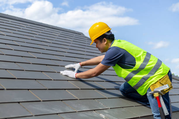 Best Storm Damage Roof Repair  in Alum Creek, WV