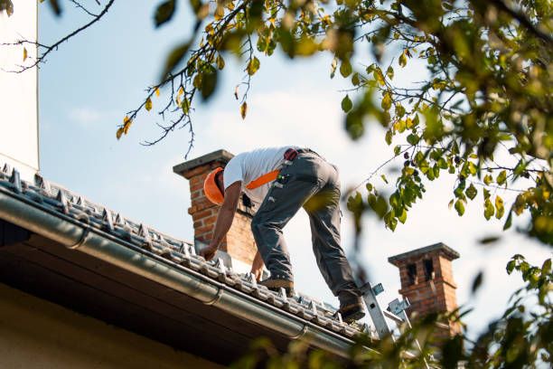 Best Slate Roofing Contractor  in Alum Creek, WV