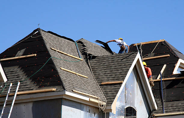 Best Roof Repair Services  in Alum Creek, WV