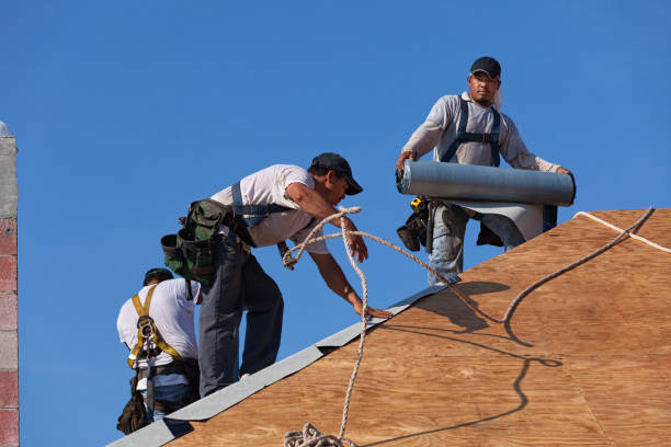 Best Roof Leak Repair  in Alum Creek, WV