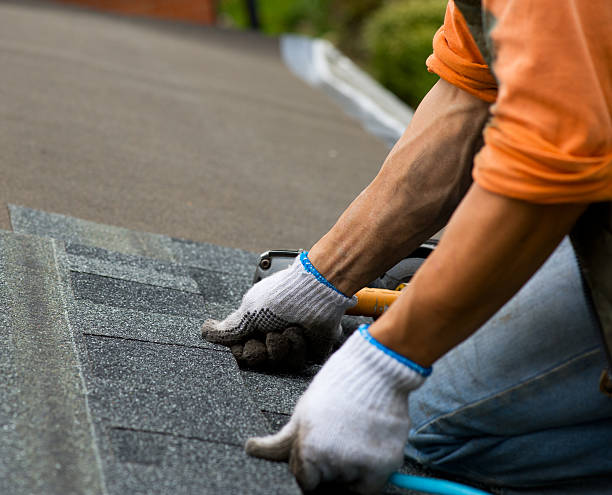 Best Roof Maintenance Services  in Alum Creek, WV
