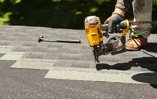 Best Roof Repair Services  in Alum Creek, WV