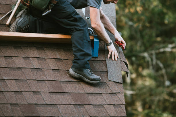 Best New Roof Installation  in Alum Creek, WV
